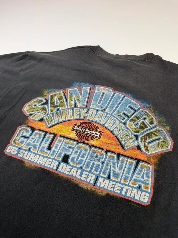 Vintage Harley Davidson San Diego T-shirt – Grey, size L – photo 5