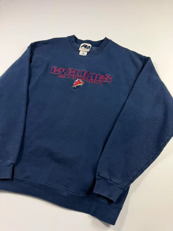 Vintage Iowa University Sweatshirt – Navy, size L – photo 3