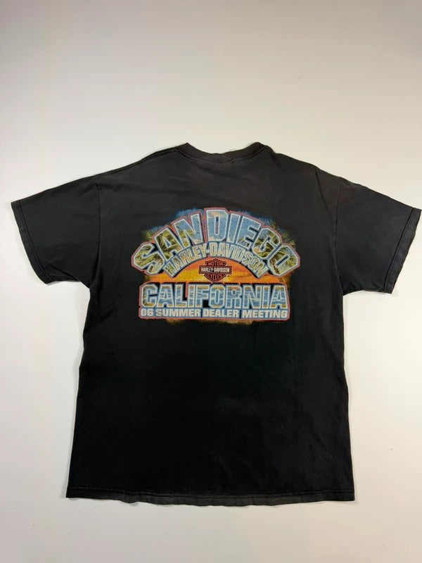 Vintage Harley Davidson San Diego T-shirt – Grey, size L – photo 1